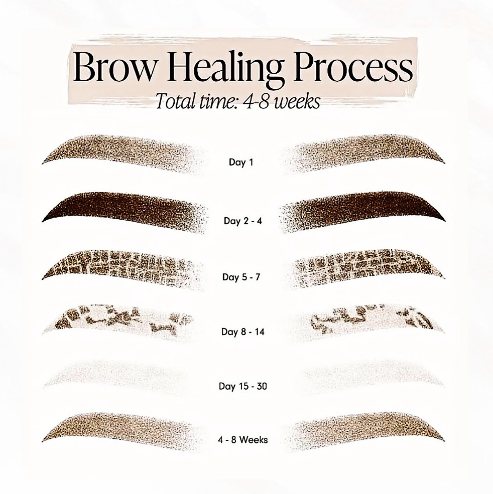 brow healing